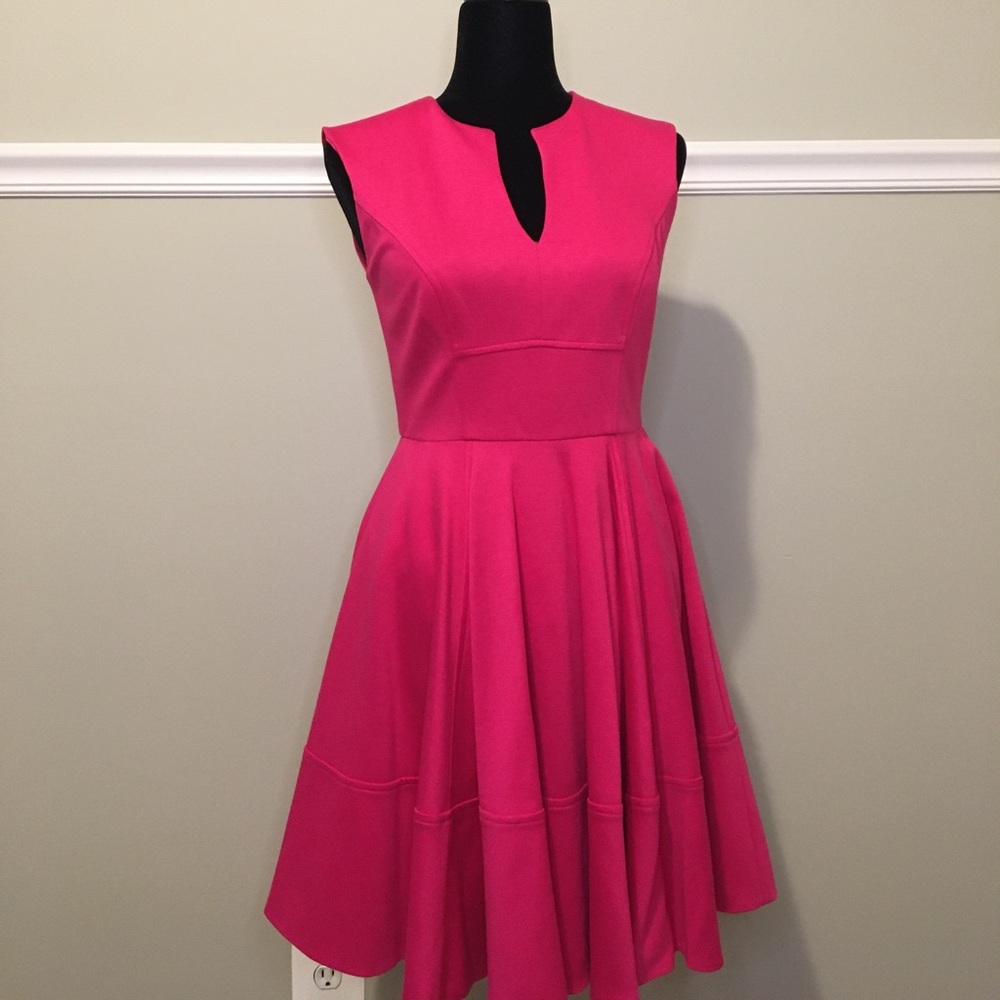 Shoshanna Pink Fit and Flare Size 2 BEAUTIFUL
